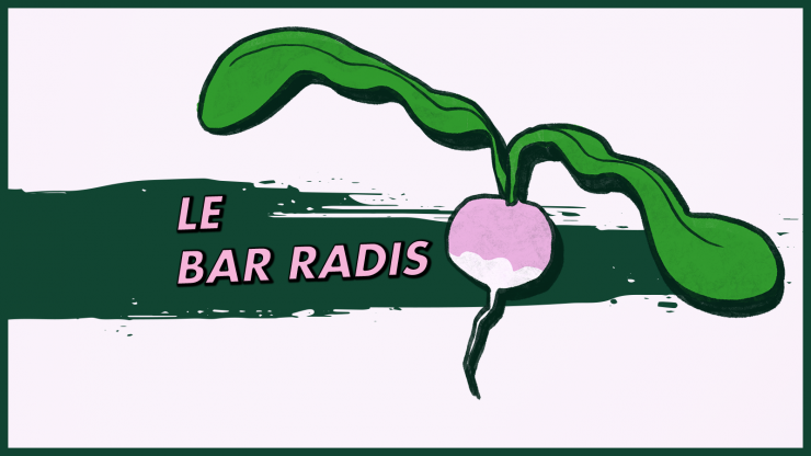 Radis sur un fond rose et vert