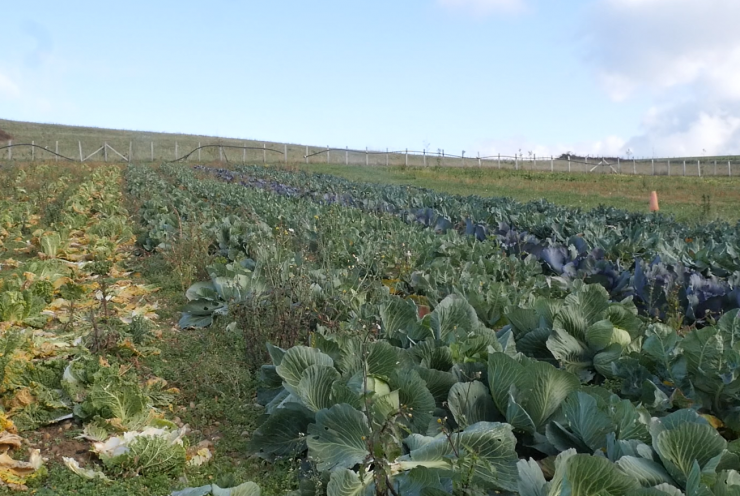 Agriculture Ethique