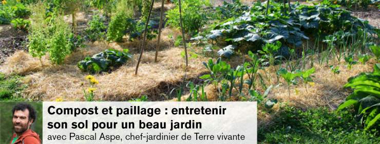 Compost et paillage : entretenir son sol pour un beau jardin