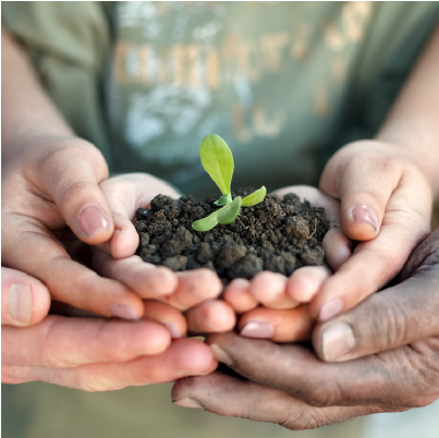 Formation « Impulser la transition écologique dans sa structure »