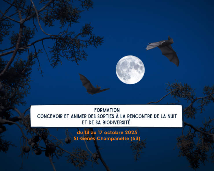 Formation - Concevoir et animer des sorties à la rencontre de la nuit et de sa biodiversité