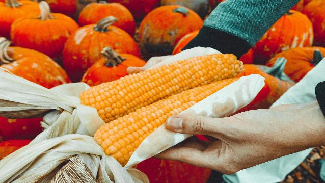 Coop de France accompagne le développement de l'agriculture biologique