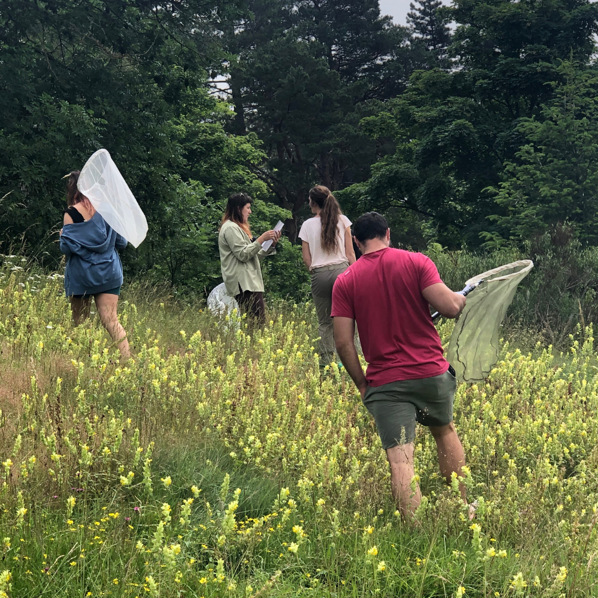 Formation – Sensibiliser sur les pollinisateurs et des abeilles sauvages