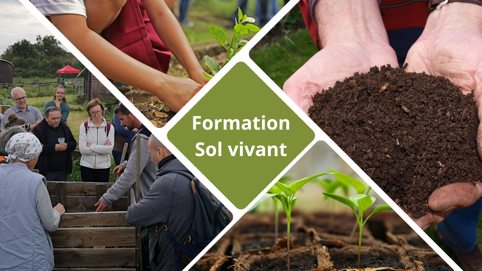 🪱​​🍂​ Formation « Sol vivant »