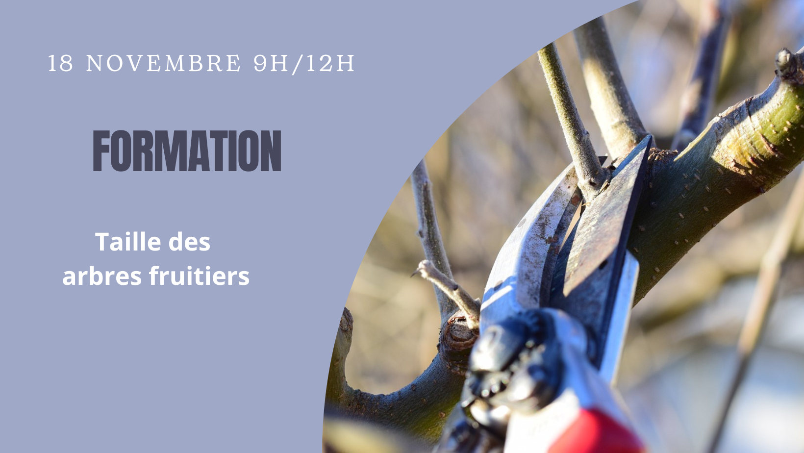 ✂️​🌳​🍒​ Formation taille des fruitiers
