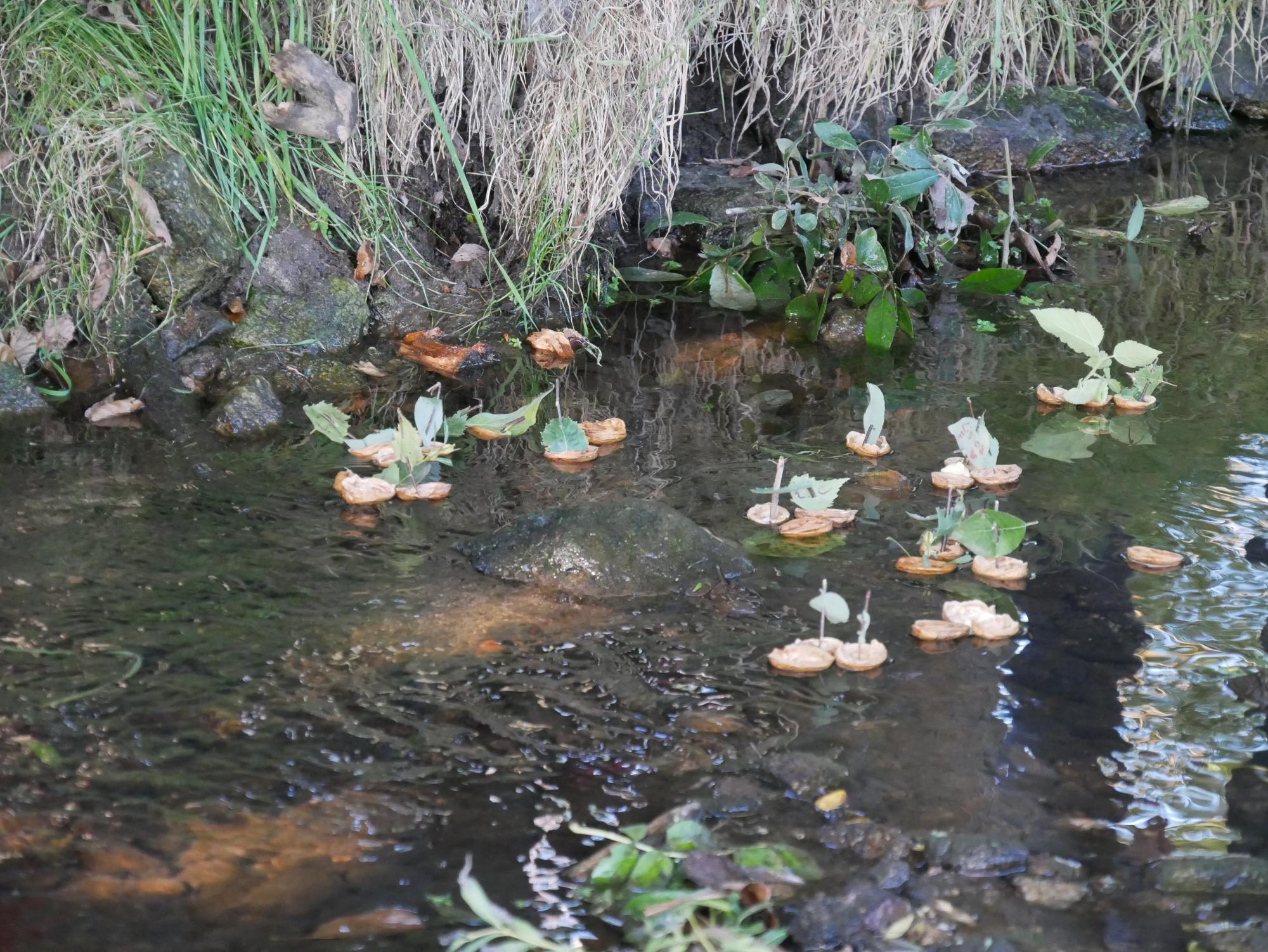 Formation « Accompagner les publics adultes vers le changement de comportement » – Saint-Genès-Champanelle (63)