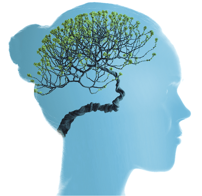 Concours 4S Semeur d&rsquo;innovation